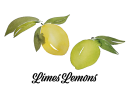 limeslemons.com